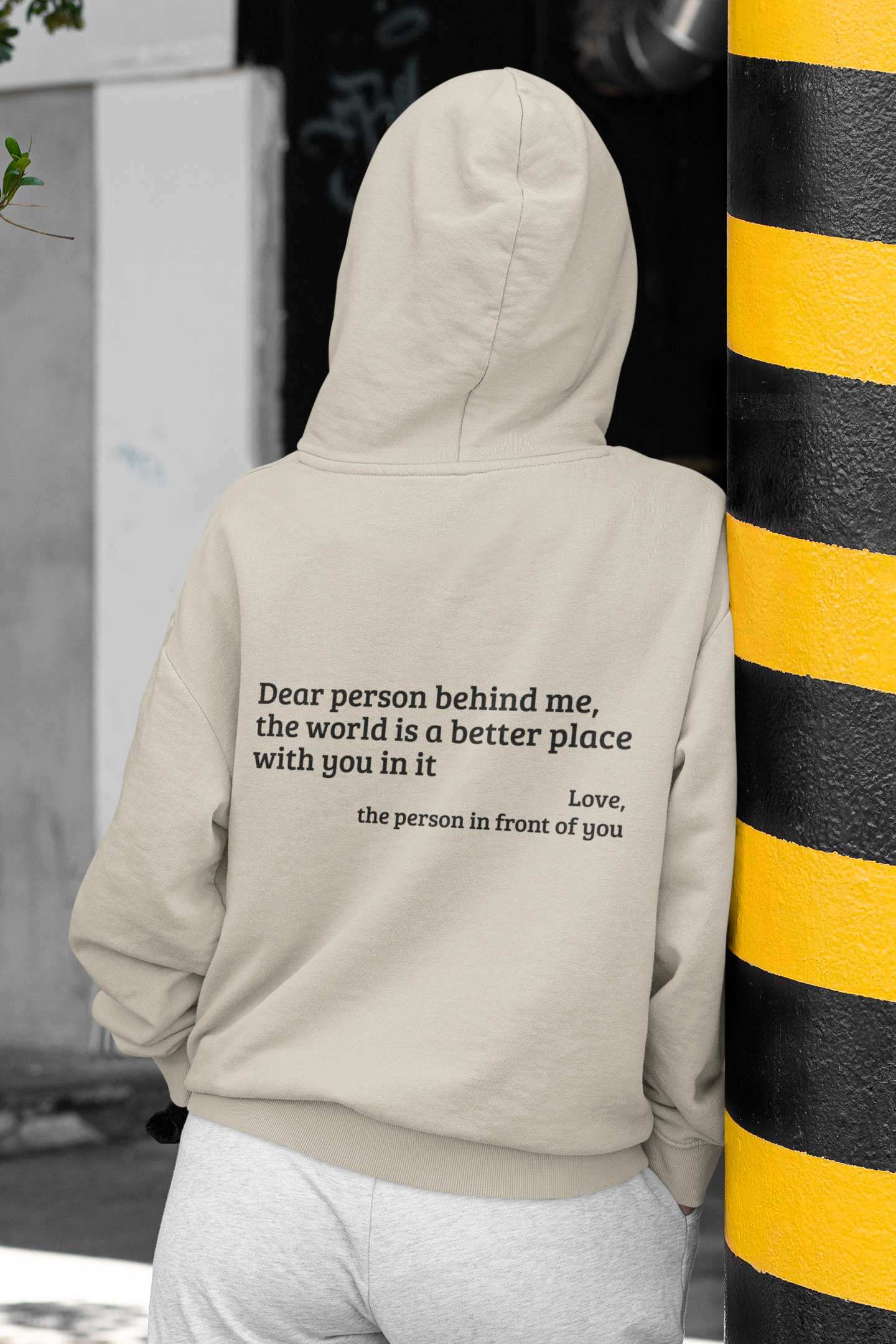 Dear Person Behind Me Premium Hoodie